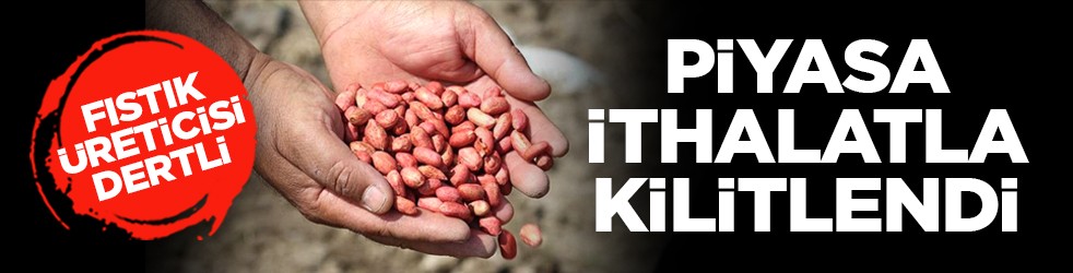 Fıstık üreticisi dertli: Piyasa ithalatla kilitlendi