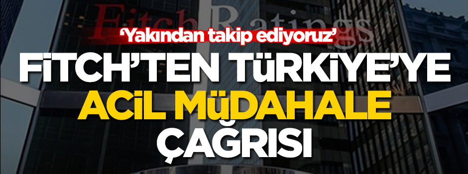 Fitch: Merkez Bankası dolara müdahale etsin