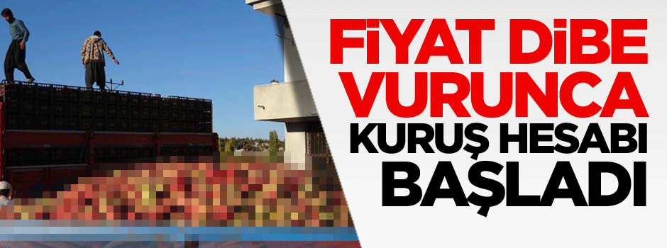 Fiyat dibe vurunca kuruş hesabı başladı
