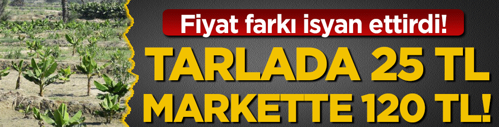 Fiyat farkı isyan ettirdi: Tarlada 25, markette120 TL 
