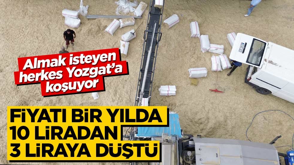 Fiyatı 1 yılda 10 liradan 3 liraya düştü! Almak için Yozgat'a koşuyorlar