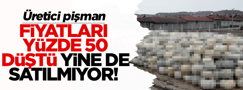 Fiyatı bu yıl yüzde 50 düştü yine de satılmıyor! Üretici pişman