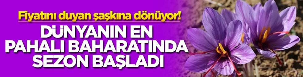 Fiyatını duyan şaşkına dönüyor! Dünyanın en pahalı baharatında sezon başladı