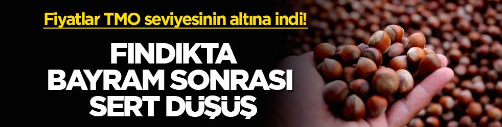 Fiyatlar TMO seviyesinin altına indi! Fındıkta bayram sonrası sert düşüş