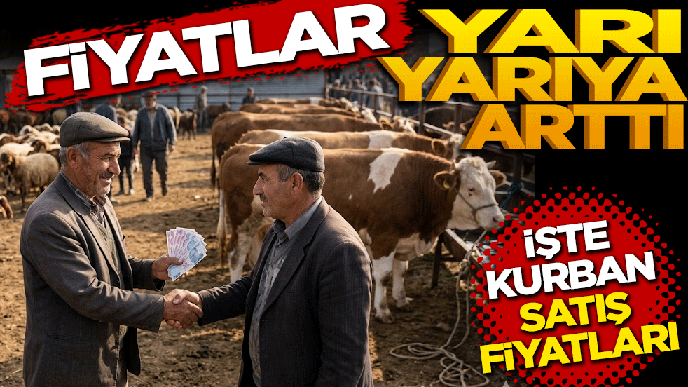 Fiyatlar yarı yarıya arttı: İşte büyükbaş ve küçükbaş kurban satış fiyatları