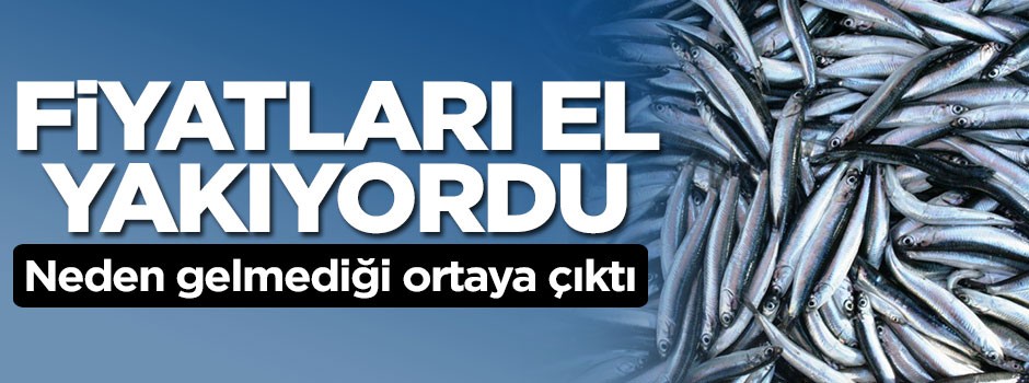 Fiyatları el yakıyordu, neden gelmediği ortaya çıktı
