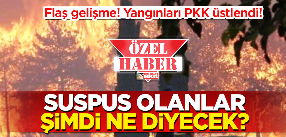 Flaş gelişme! Yangınları terör örgütü PKK üstlendi!