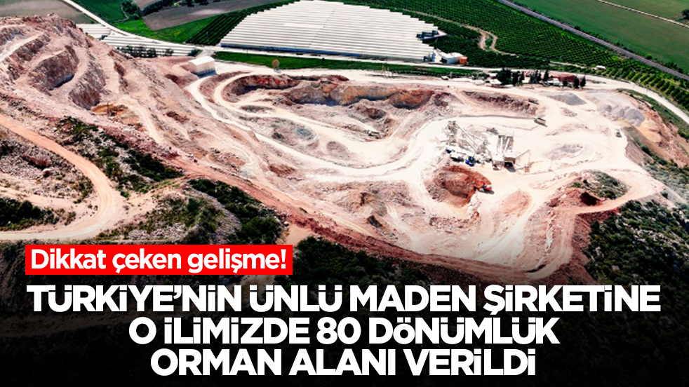 Flaş karar: Türkiye'nin ünlü maden şirketine o ilimizde 80 dönümlük orman alanı verildi