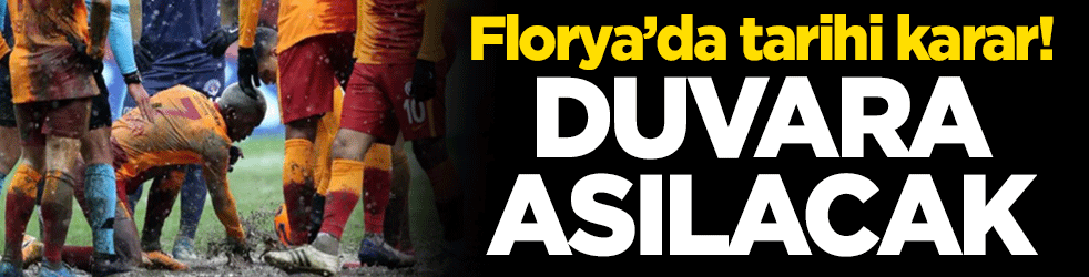 Florya'da tarihi karar! Bu kare duvara asılacak