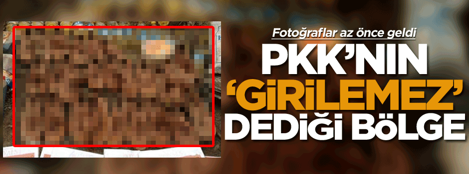 Fotoğraflar az önce geldi, Hepsi Buzul Dağlarında bulundu