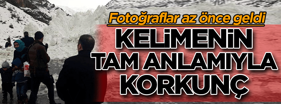Fotoğraflar az önce geldi: Kelimenin tam anlamı ile korkunç
