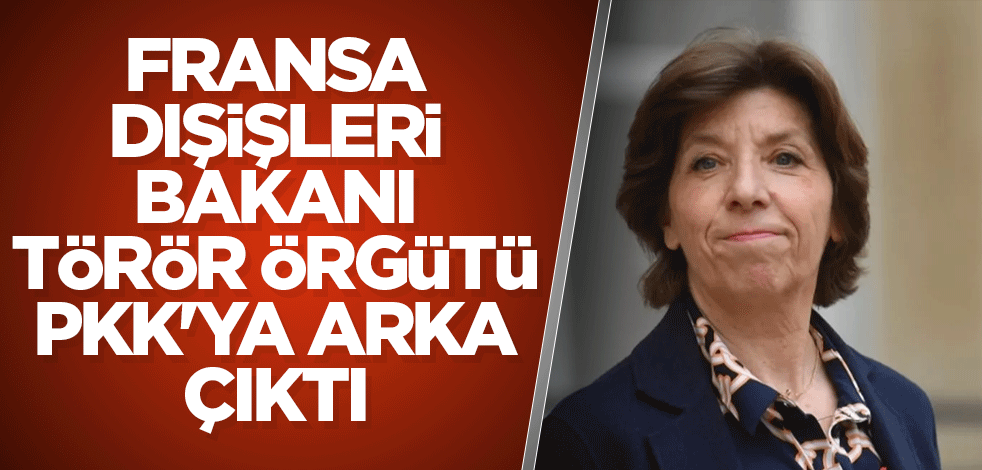 Fransa Dışişleri Bakanı Colonna'dan törör örgütü PKK'ya destek