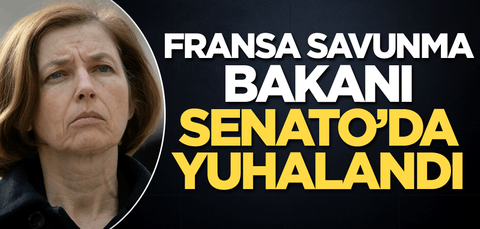 Fransa Savunma Bakanı, Senato'da yuhalandı