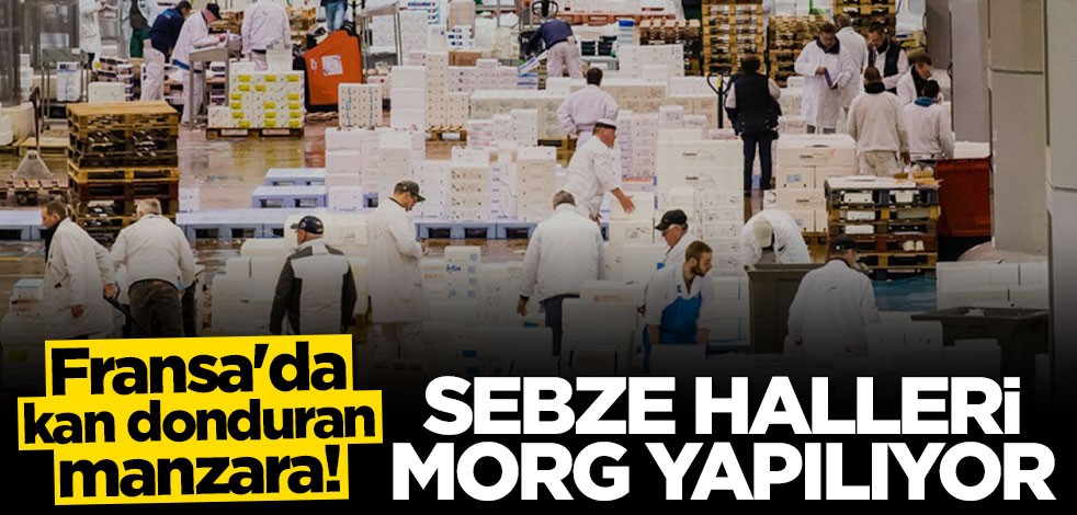 Fransa'da kan donduran manzara! Sebze halleri morg yapılıyor