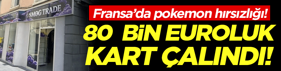 Fransa'da pokemon krizi: Değeri tam 80 bin euro!