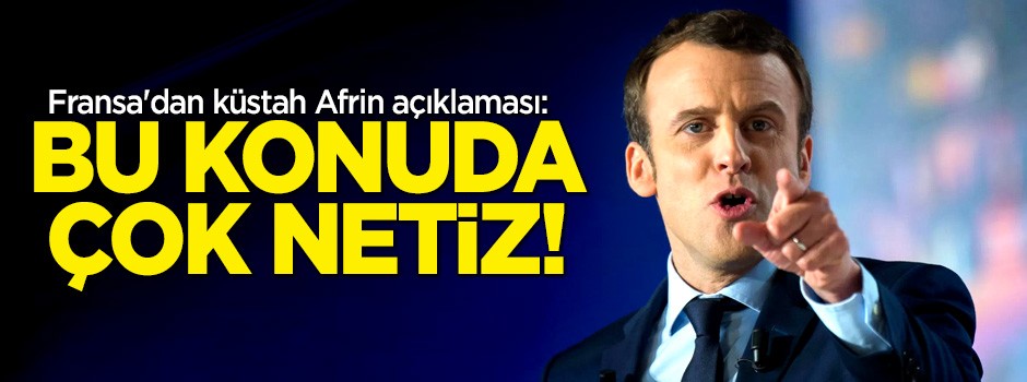 Fransa'dan küstah Afrin açıklaması: Bu konuda çok netiz!