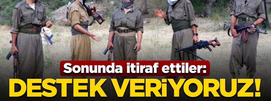 Fransa'dan "PKK'ya destek verdik" itirafı!