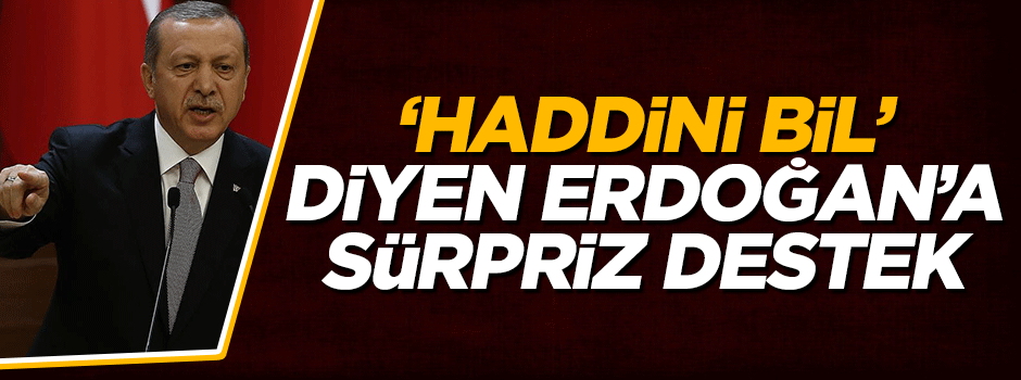 Fransalı müslümanlardan Cumhurbaşkanı Erdoğan'a tam destek