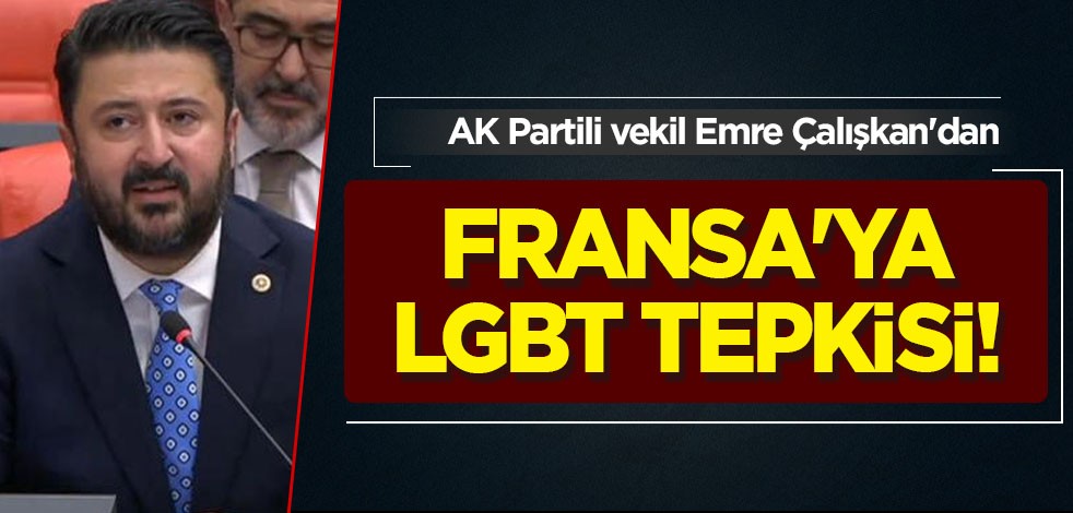 Fransa'ya gönderilen mesaj: Neslimizi koruyacağız! AK Partili vekilden Fransa'ya LGBT tepkisi!