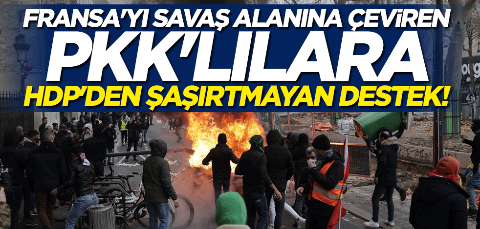 Fransa'yı savaş alanına çeviren PKK'lılara HDP'den şaşırtmayan destek