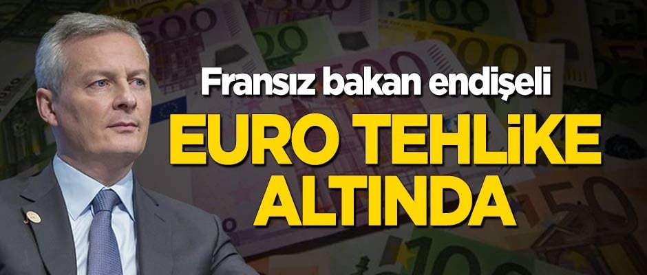Fransız bakan endişeli: Euro tehlike altında