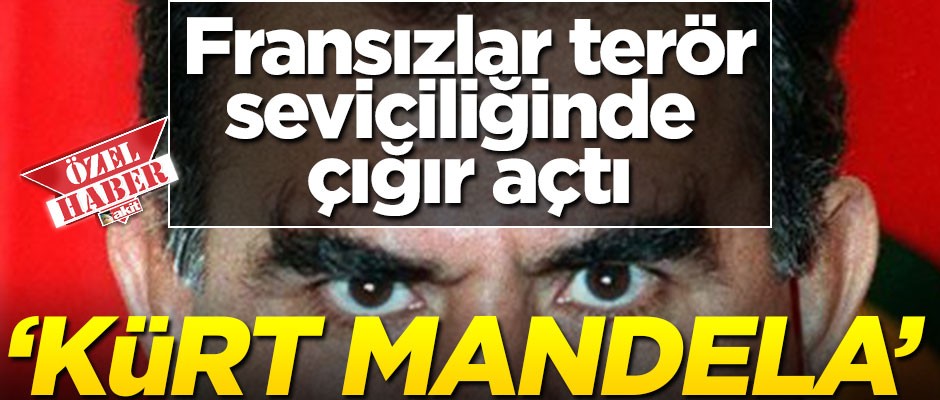 Fransız siyasetçi: "Öcalan Kürt Mandela’dır!.. Desteklerimiz onlarla!.."