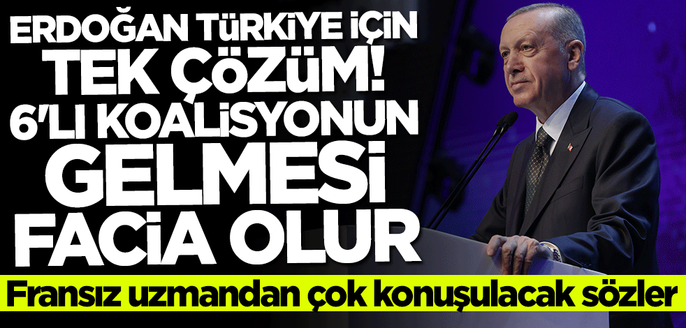 Fransız uzmandan çok konuşulacak sözler: Erdoğan Türkiye için tek çözüm! 6'lı koalisyonun gelmesi facia olur