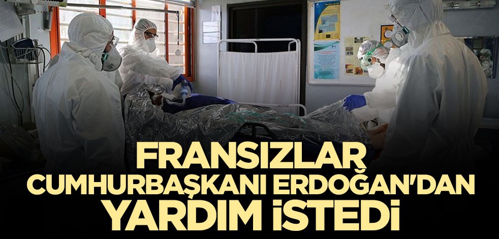 Fransızlar Cumhurbaşkanı Erdoğan'dan yardım talep etti