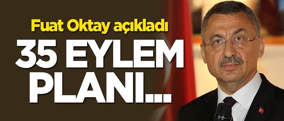 Fuat Oktay açıkladı: 35 eylem planı...