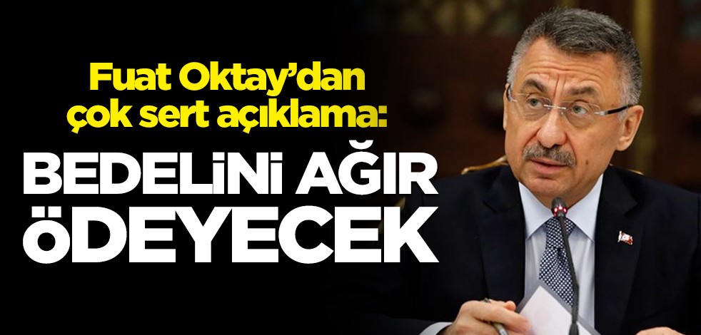 Fuat Oktay: Bedelini ağır ödeyecek