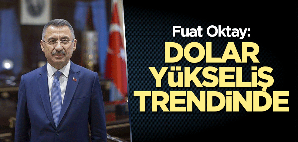Fuat Oktay: Dolar yükseliş trendinde