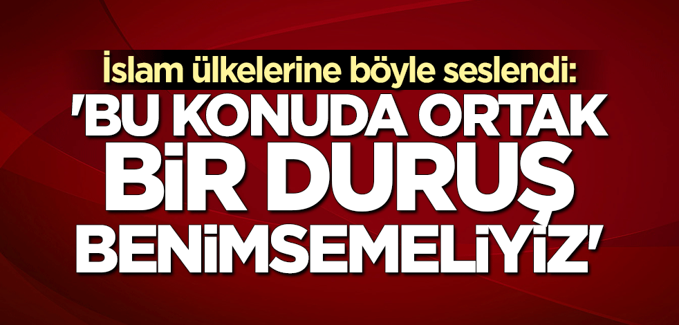 Fuat Oktay: Filistin meselesinde ortak bir duruş benimsemeliyiz