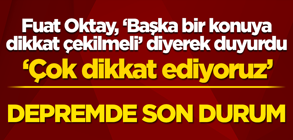 Fuat Oktay'dan önemli açıklamalar
