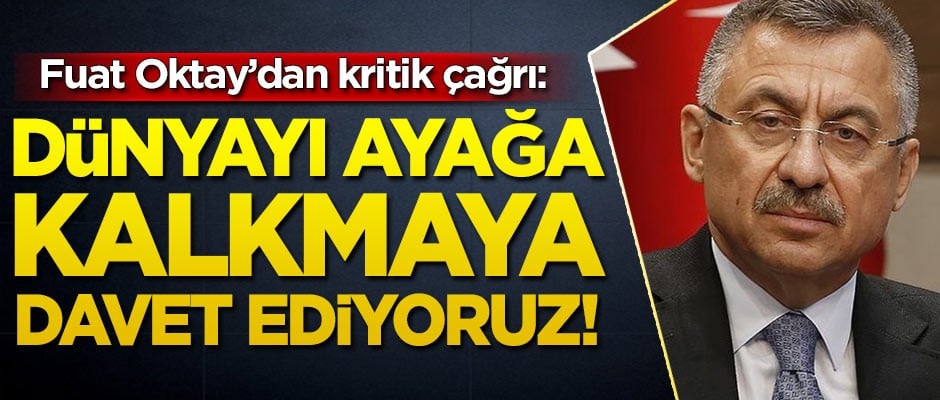 Fuat Oktay'dan Yeni Zelanda açıklaması