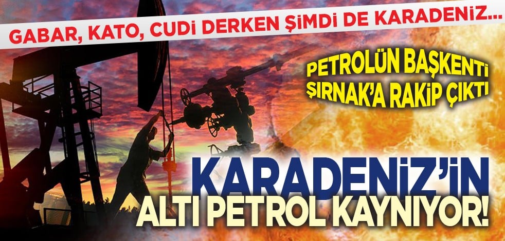 Gabar, Kato, Cudi derken şimdi de Karadeniz: Petrolün başkenti Doğu Anadolu mu, Karadeniz mi olacak?