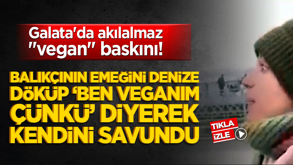 Galata'da akılalmaz 'vegan' baskını! Balıkçının emeğini denize döküp bir de tehdit etti