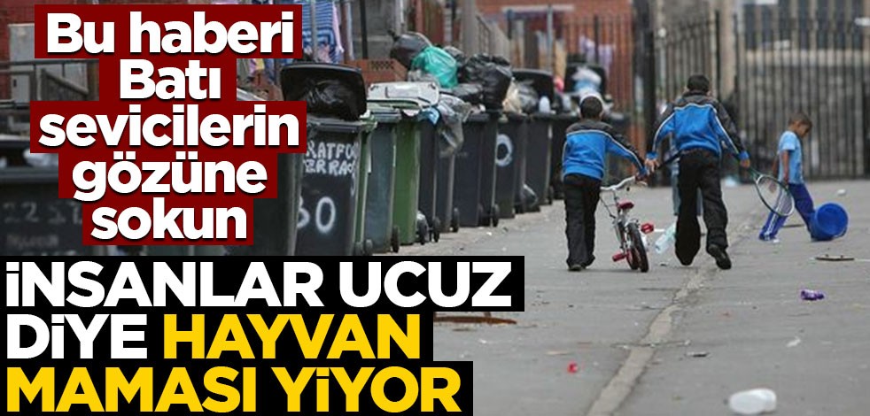 Galler'de durum içler acısı! İnsanlar evcil hayvan maması yiyor