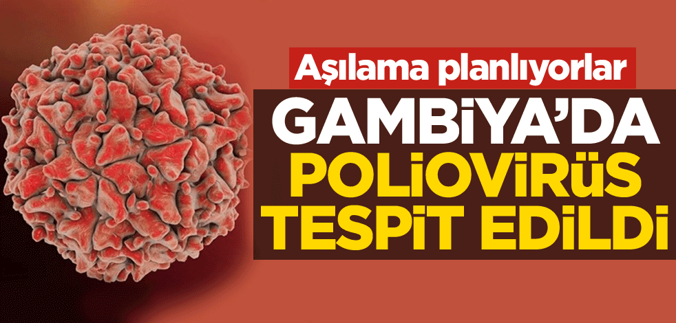 Gambiya'da poliovirüs tespit edildi