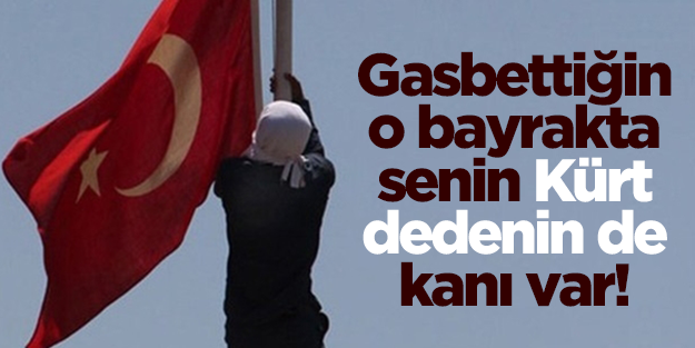 'Gasbettiğin o bayrakta senin Kürt dedenin de kanı var!'