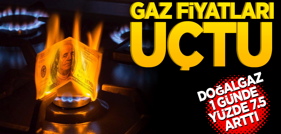 Gaz fiyatları uçtu! Doğalgaz 1 günde yüzde 7.5 arttı