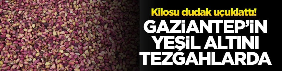 Gaziantep’in yeşil altını tezgahlarda! Kilosu dudak uçuklattı