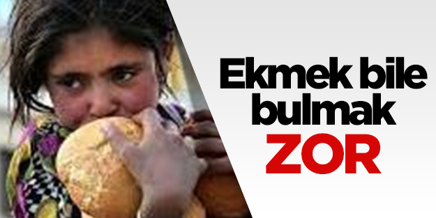 Gazze'de dram: Ekmek bile bulmak zor