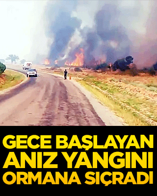 Gece başlayan anız yangını ormana sıçradı