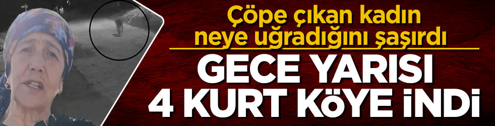 Gece yarısı 4 kurt köye indi! Çöpe çıkan kadın neye uğradığını şaşırdı 