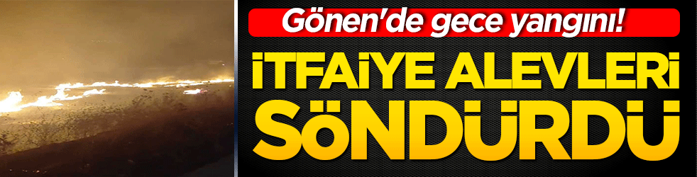 Gece yarısı alevler yükseldi! Balıkesir'de yürekleri ağza getiren yangın itfaiyenin zamanında müdahalesiyle söndürüldü!