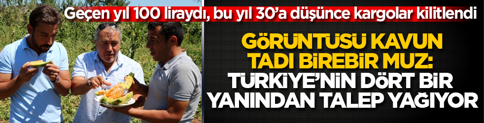 Ge&ccedil;en yıl 100 liraydı, bu yıl 30&rsquo;a d&uuml;ş&uuml;nce kargolar kilitlendi! G&ouml;r&uuml;nt&uuml;s&uuml; kavun, tadı birebir muz: T&uuml;rkiye&rsquo;nin d&ouml;rt bir yanından talep yağıyor
