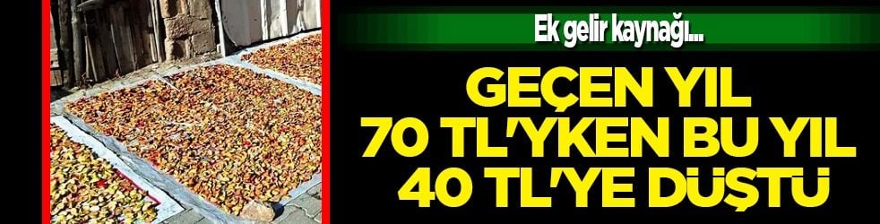 Geçen yıl 70 TL'yken bu yılda 40 TL'ye düştü: Elma kurusu büyük ek gelir kaynağı! Tercih edildi