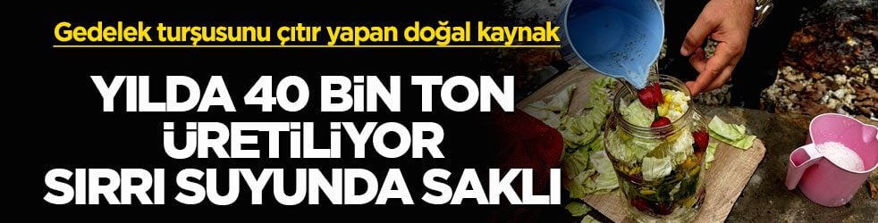 Gedelek turşusunu çıtır yapan doğal kaynak! Yılda 40 bin ton üretiliyor, sırrı suyunda saklı