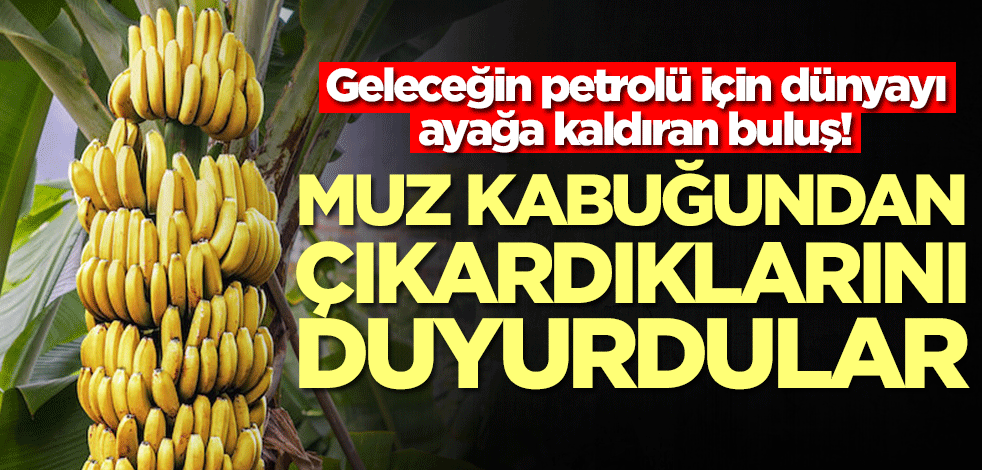 Geleceğin petrolü için dünyayı ayağa kaldıran buluş! Muz kabuğundan çıkardılar