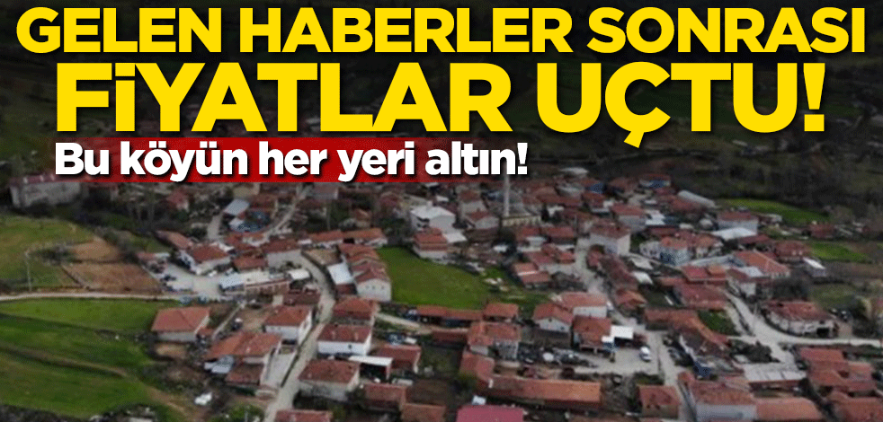 Gelen haber sonrası fiyatlar uçtu! Bu köyün her yeri altın